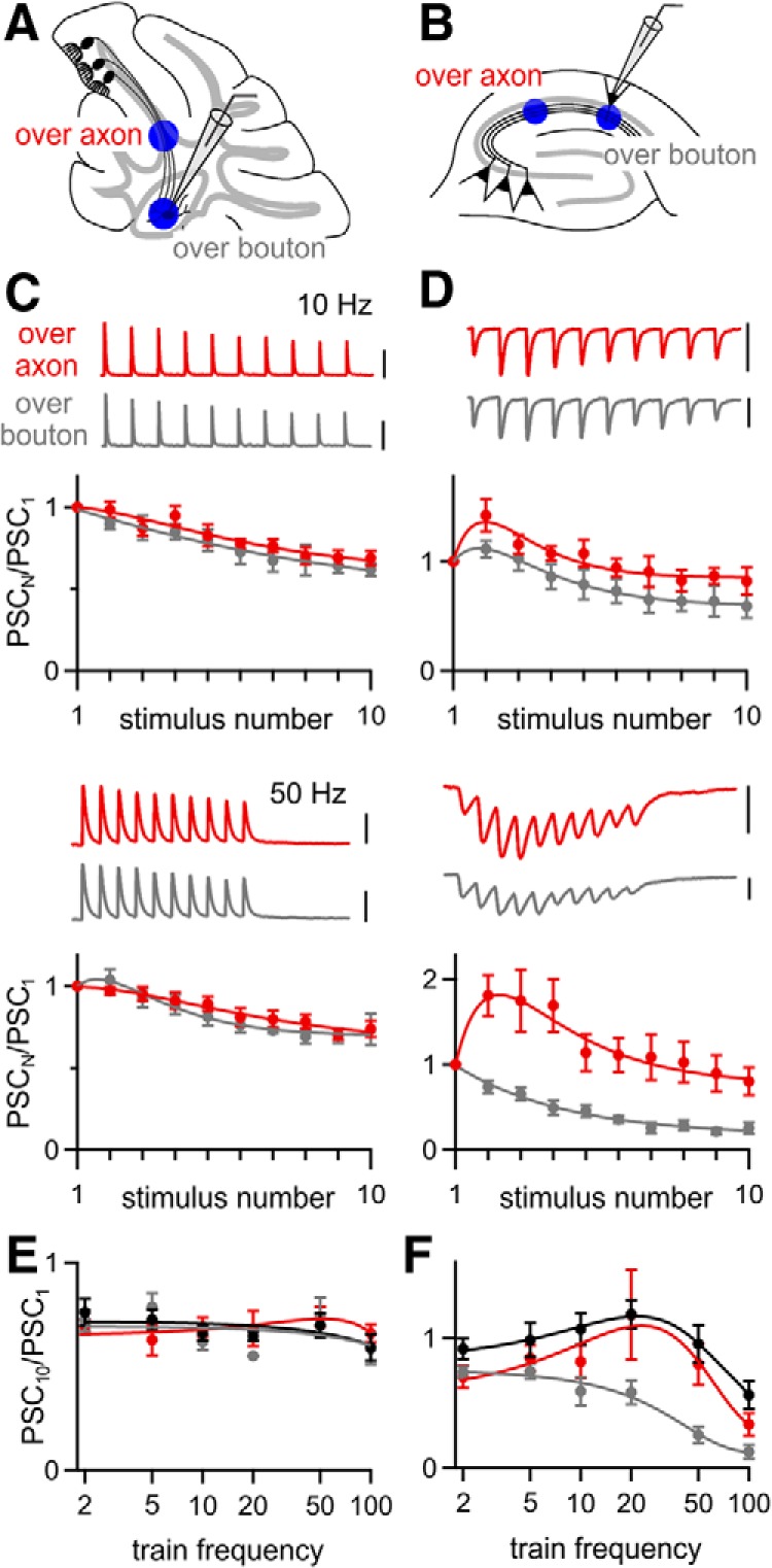 Figure 10.