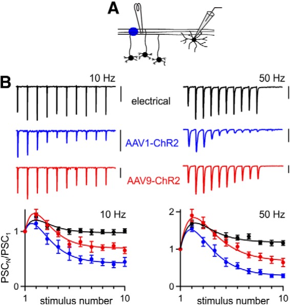 Figure 9.