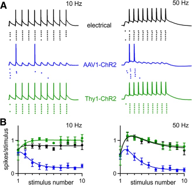 Figure 12.