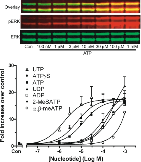 Fig. 3