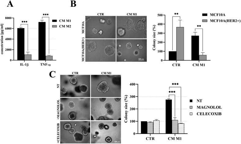 Supplementary Fig. S10