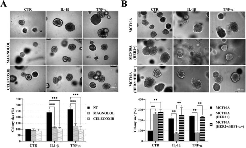 Supplementary Fig. S8