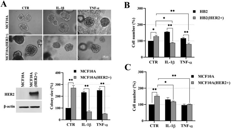 Supplementary Fig. S1