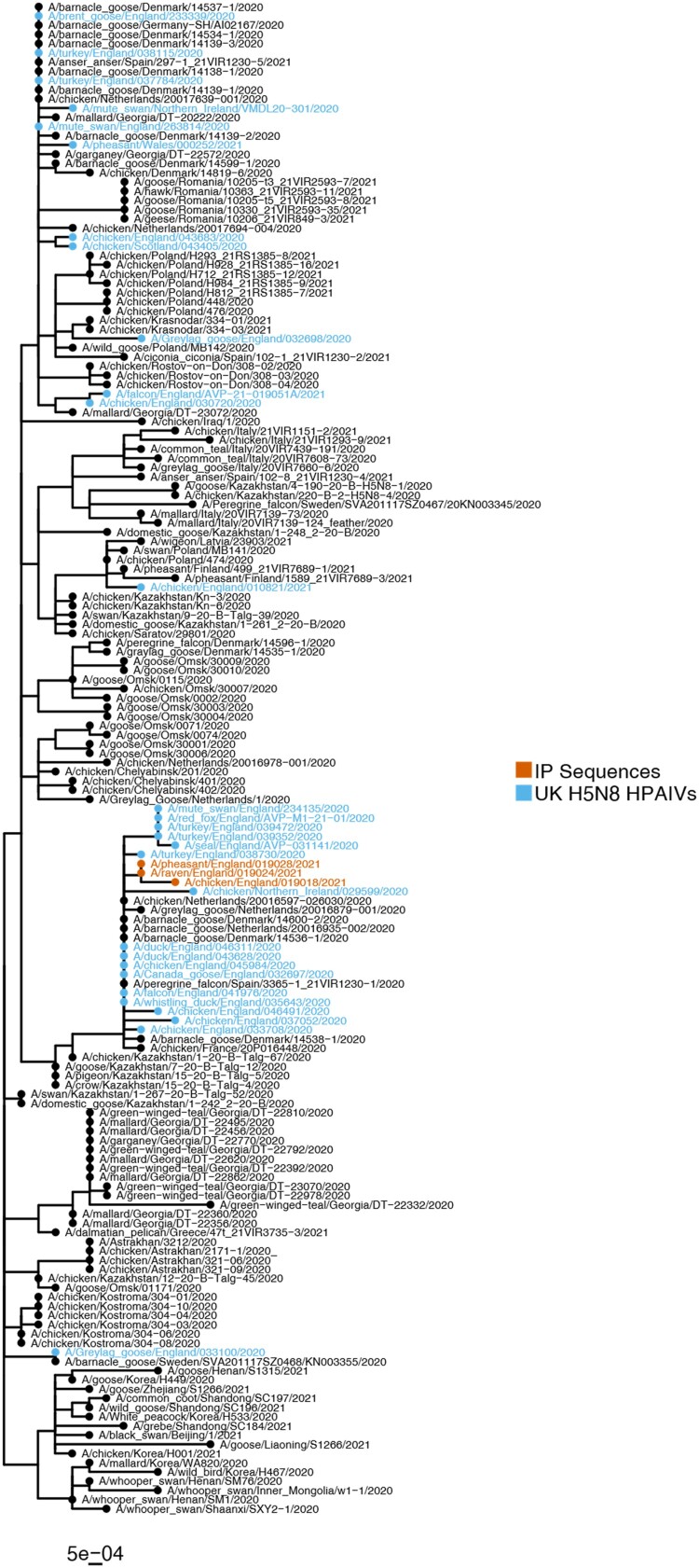 Figure 2.