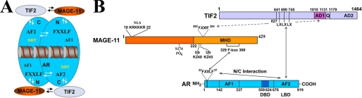 FIGURE 12.