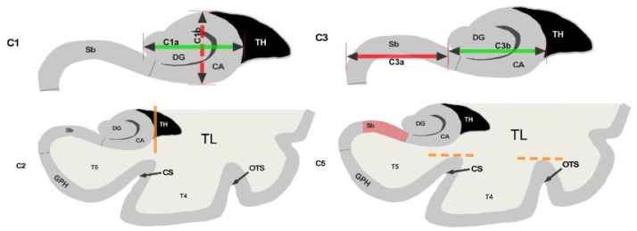 Figure 1: