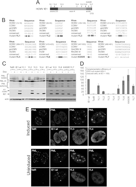 Fig 7