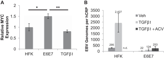 FIG 6