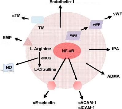 Fig. 6