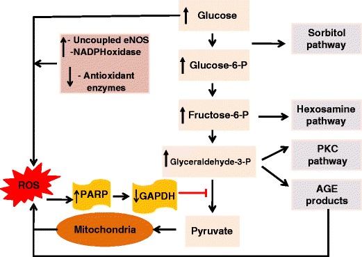 Fig. 4