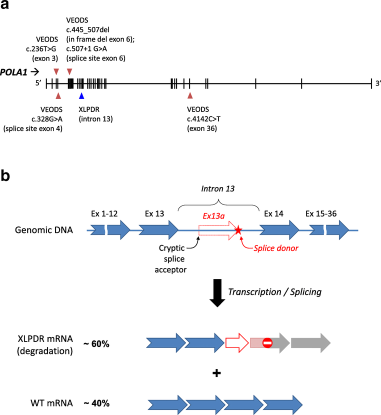 Figure 2: