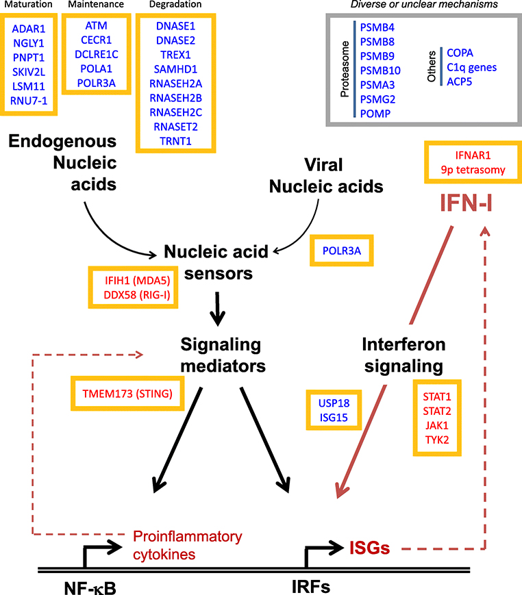 Figure 1: