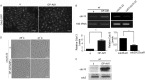 FIG 6