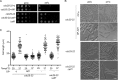 FIG 1