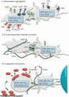 Fig. 2