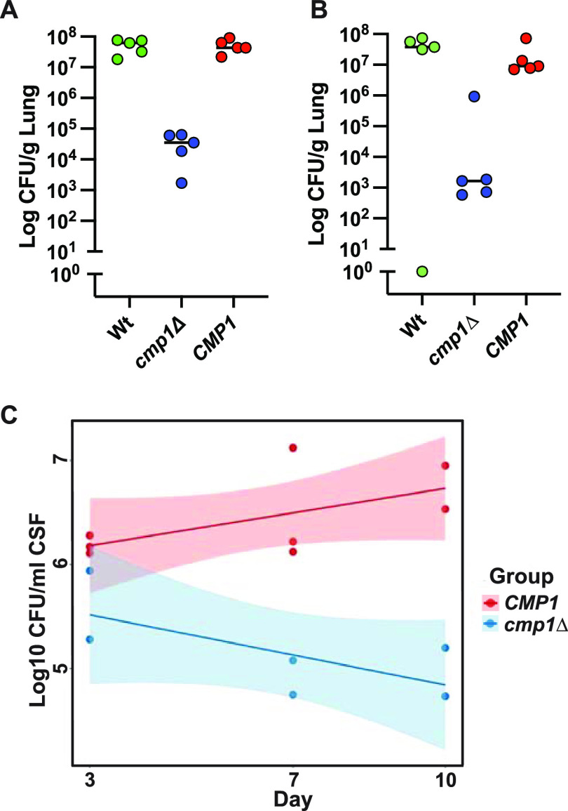 FIG 4