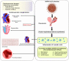 FIG 6