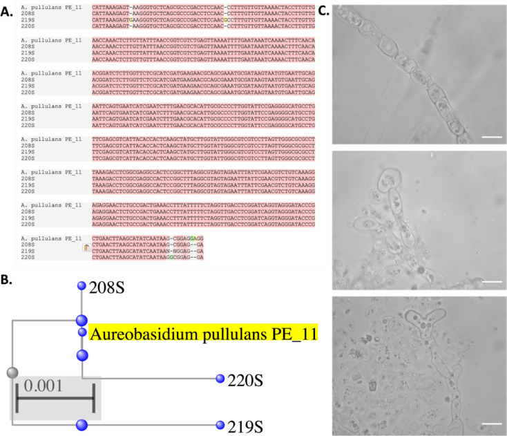 Figure 4.