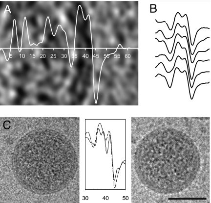 Fig. 4.