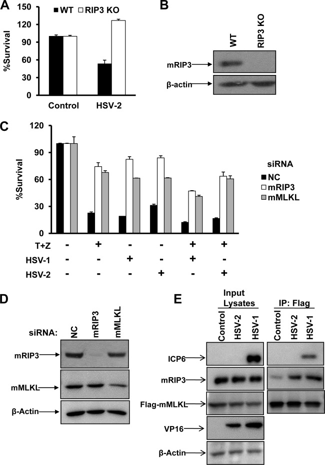 FIG 1