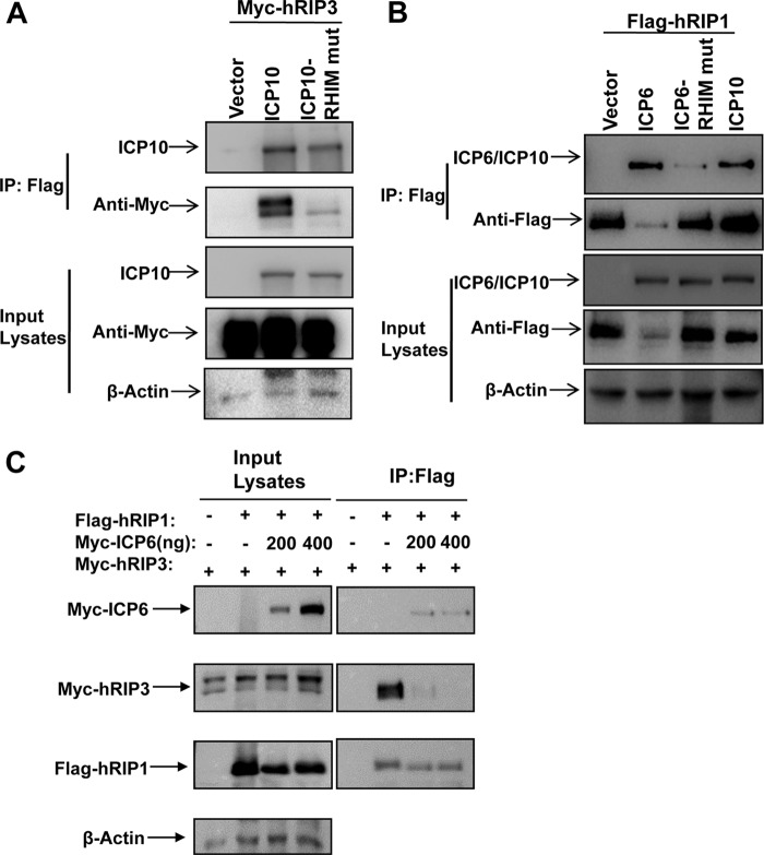 FIG 5