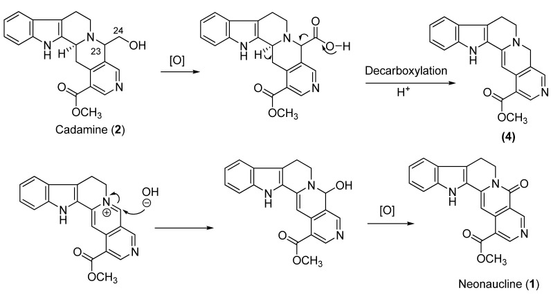 Scheme 1