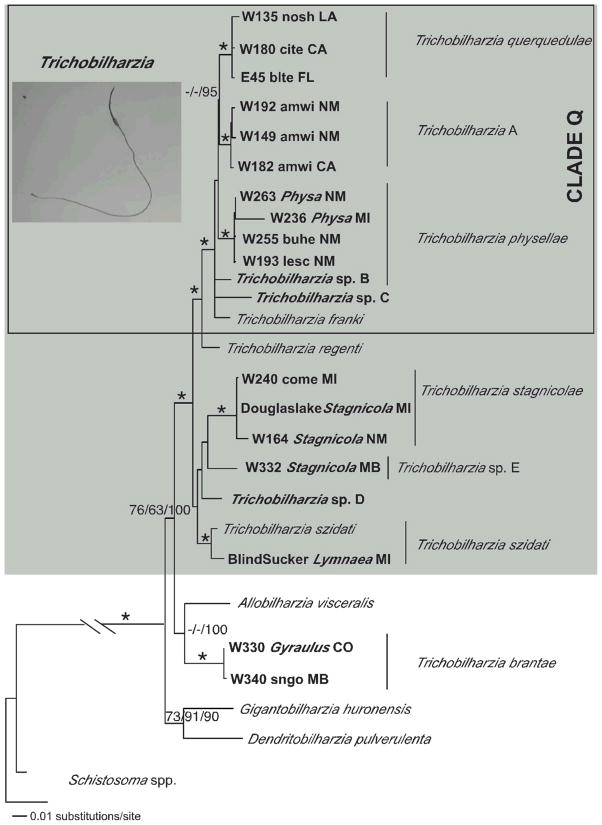 FIGURE 3