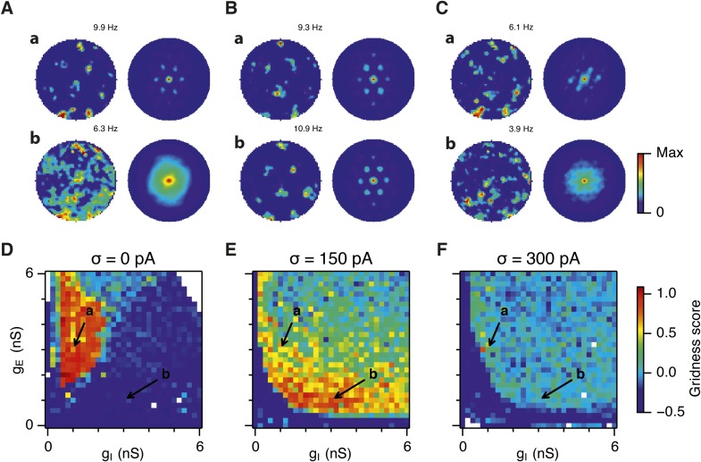 Figure 2—figure supplement 1.