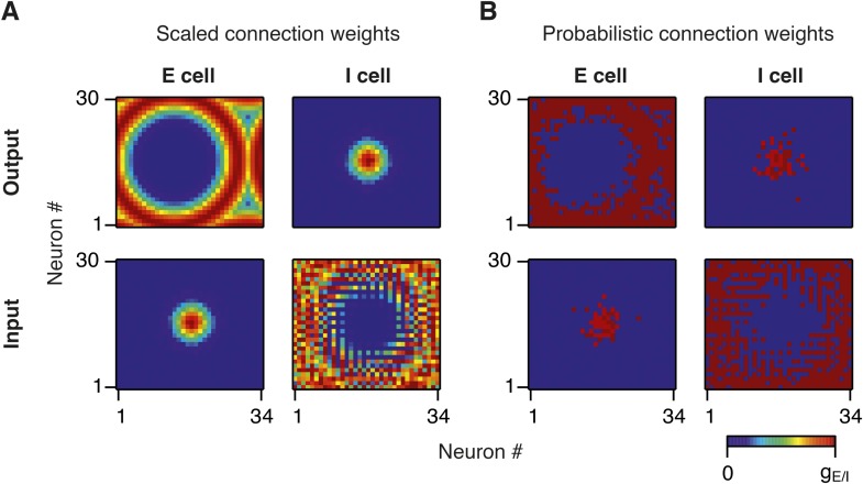 Figure 1—figure supplement 1.