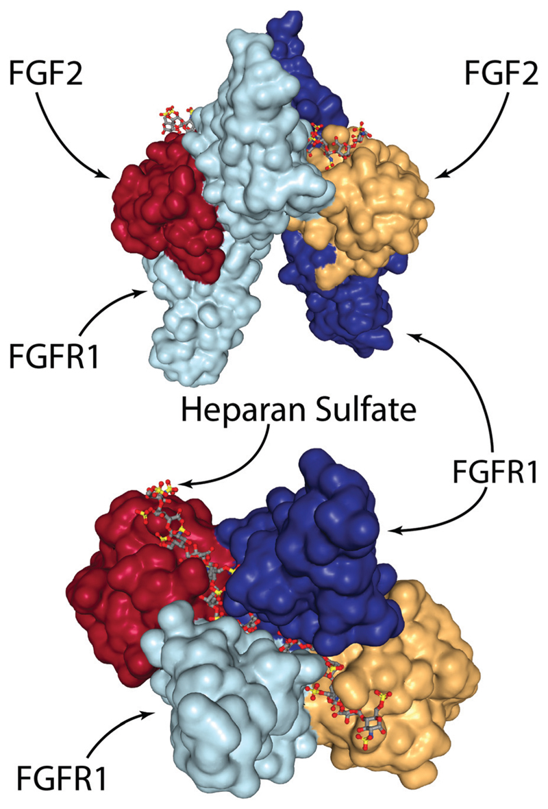 Fig. 3