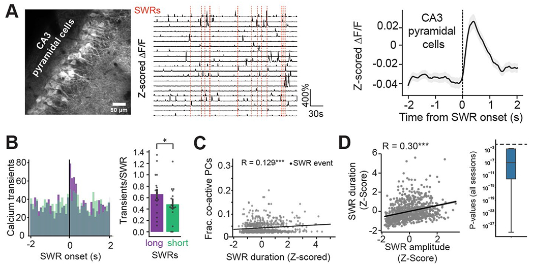 Extended Data Fig. 5 |