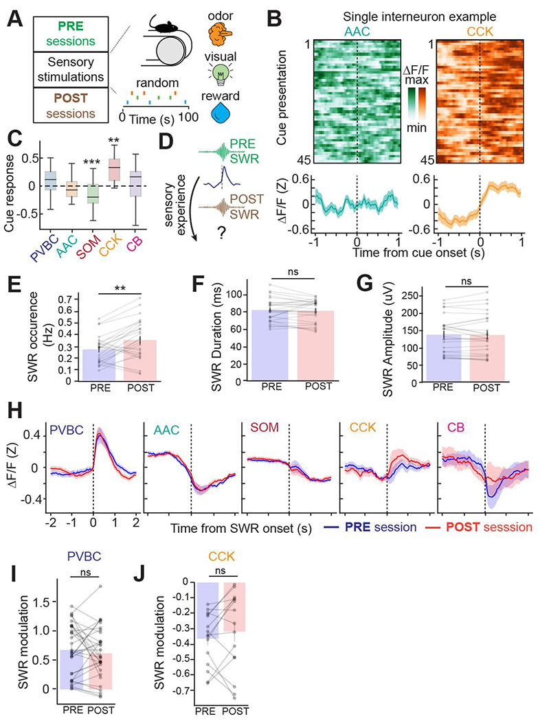 Extended Data Fig. 9 |