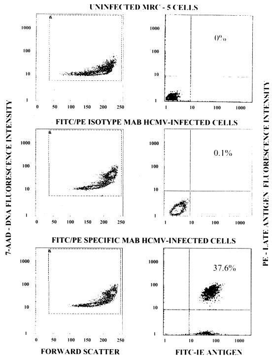 FIG. 1