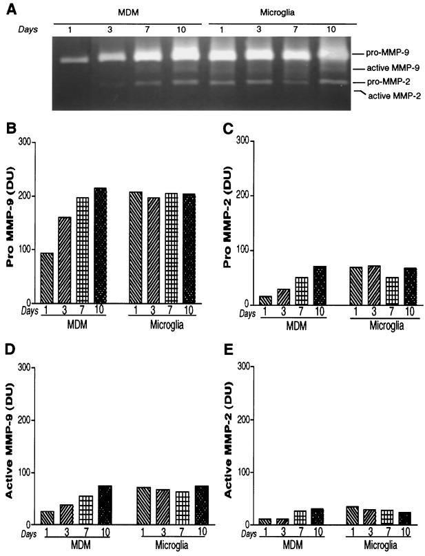 FIG. 3