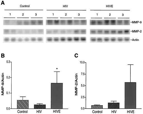 FIG. 6