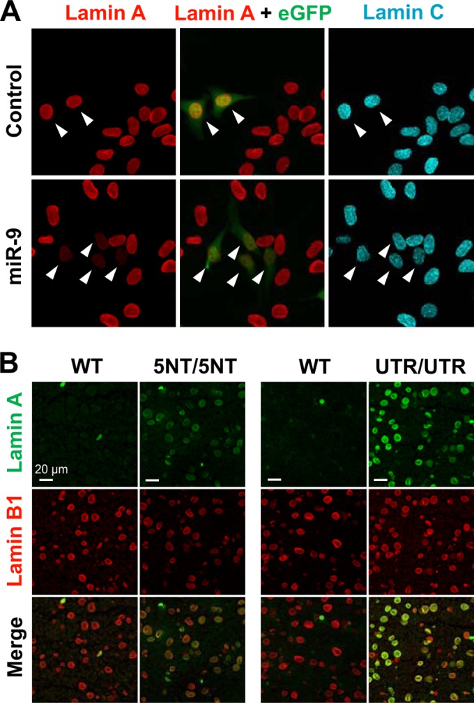 FIG 4