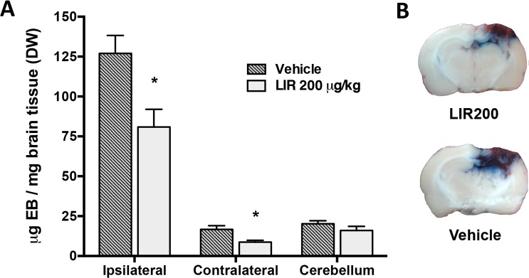 Fig 5