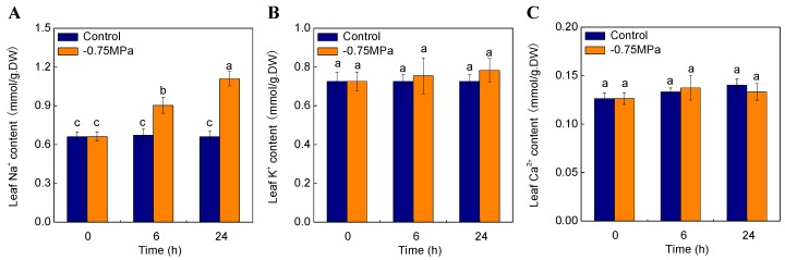 Figure 7