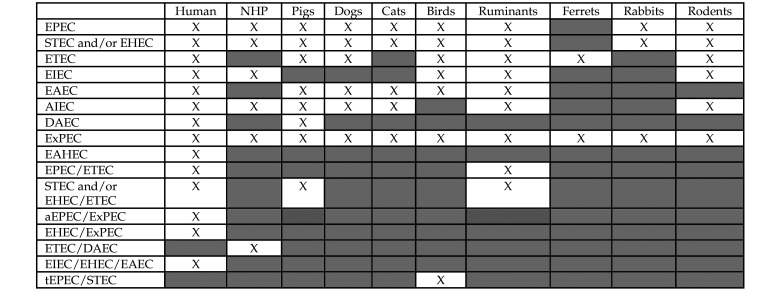 Figure 13.