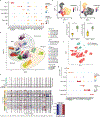 Extended Data Fig.7 |