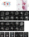 Extended Data Fig.10 |