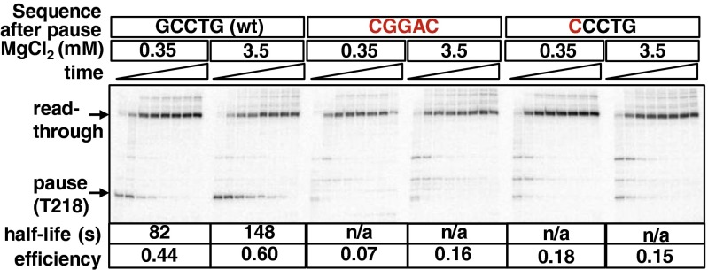 Fig. 5.