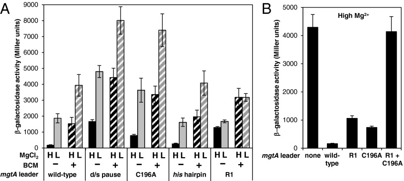 Fig. 7.