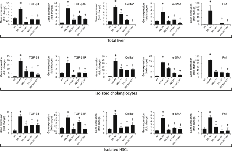 Figure 4