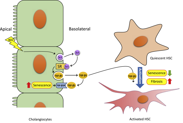 Figure 10