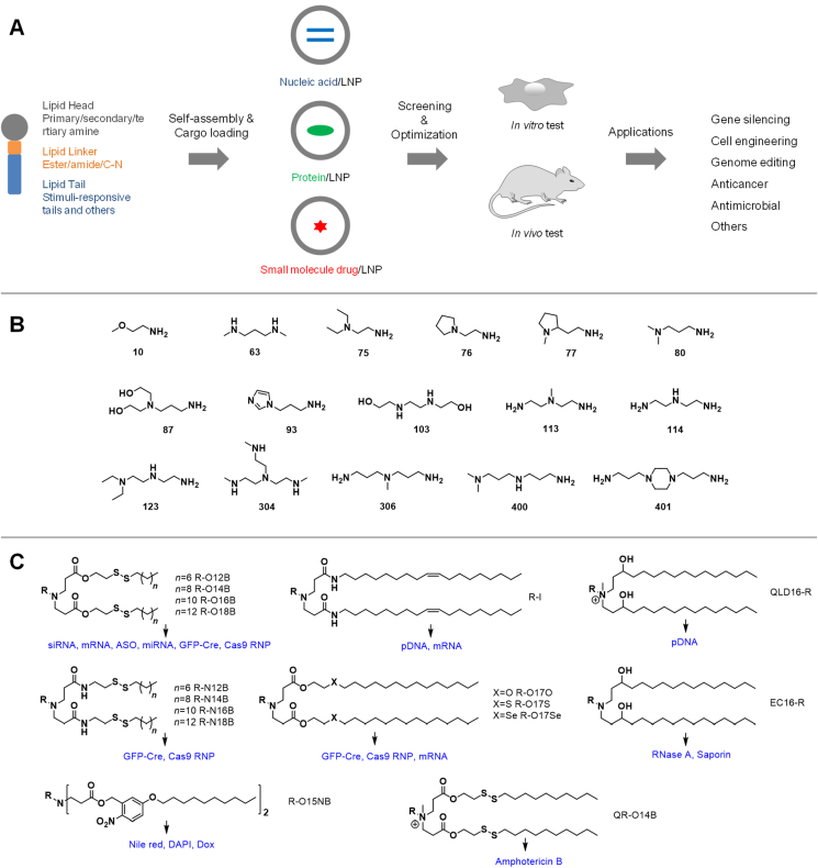 Figure 1