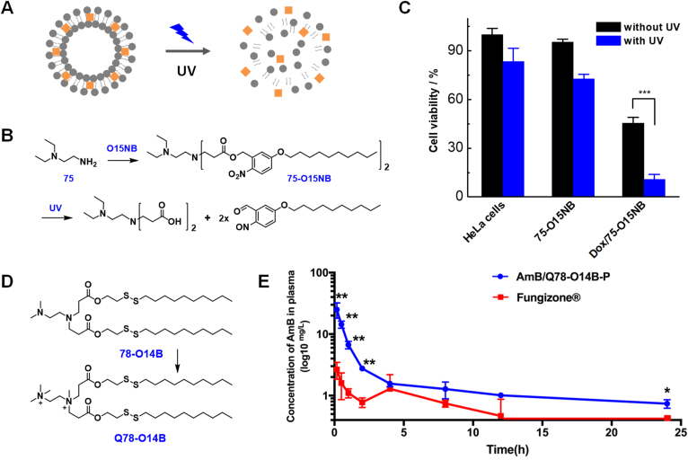 Figure 6