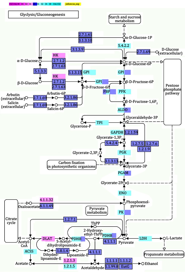 Fig. 4