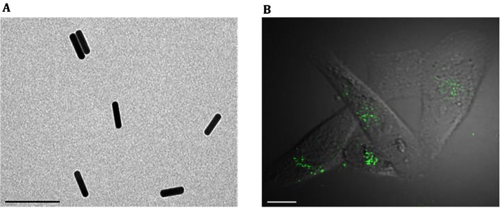 Fig. 1