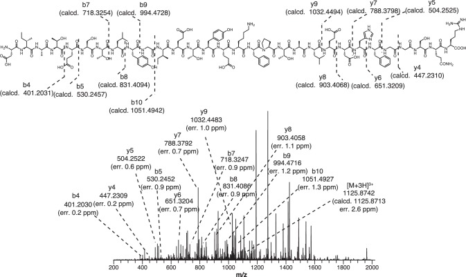 Figure 4—figure supplement 2.